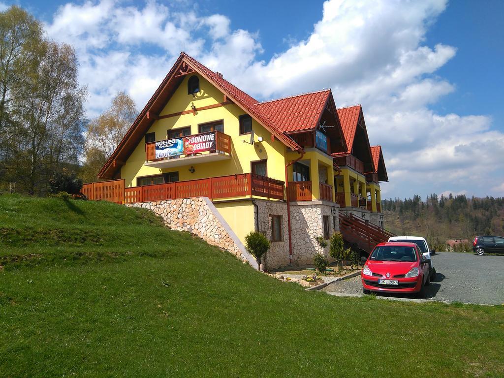 Pensjonat Zielone Wzgorze Boleslawow Строне-Слёнске Экстерьер фото